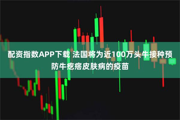 配资指数APP下载 法国将为近100万头牛接种预防牛疙瘩皮肤病的疫苗