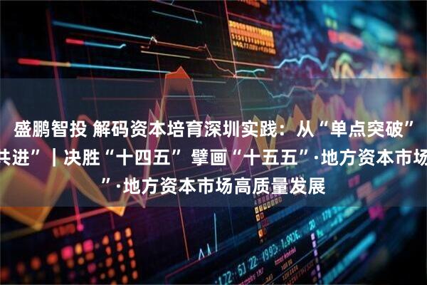 盛鹏智投 解码资本培育深圳实践：从“单点突破”迈向“集群共进”｜决胜“十四五” 擘画“十五五”·地方资本市场高质量发展